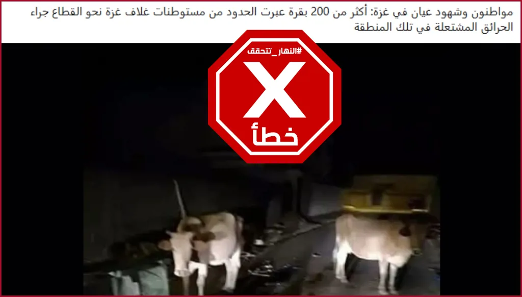 خبر هروب 200 بقرة من مستوطنات غلاف غزة إلى القطاع غير صحيح والصورة المتداولة قديمة FactCheck#