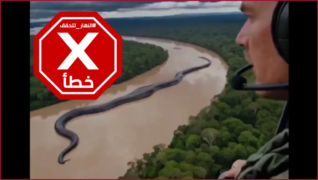 هذا الفيديو لثعابين نهر الأمازون الضخمة منشأ بالذكاء الاصطناعي FactCheck#