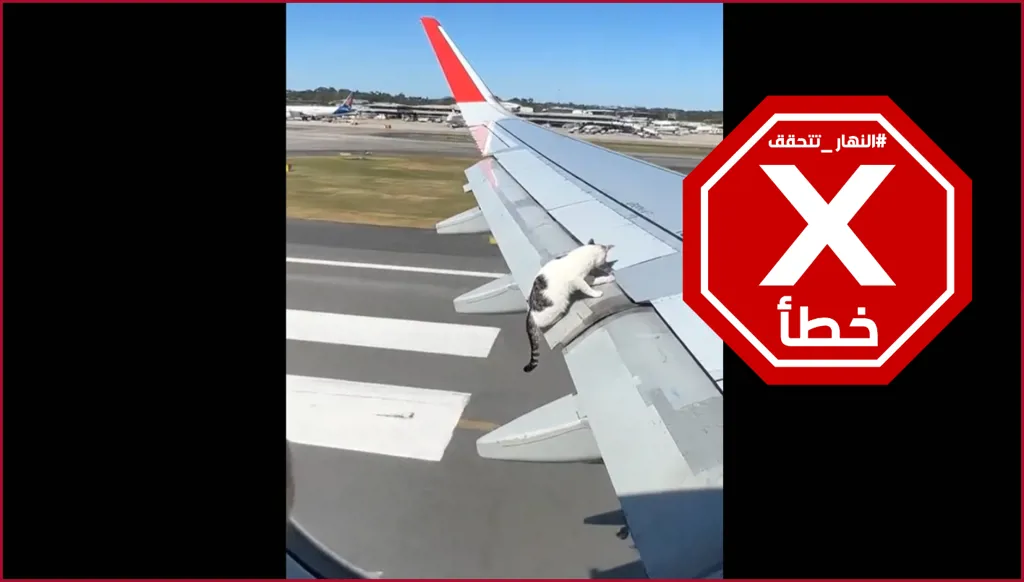 قطة على جناح طائرة خلال الإقلاع... والإنترنت مشغول بمصيرها؟ النهار تتحقق FactCheck