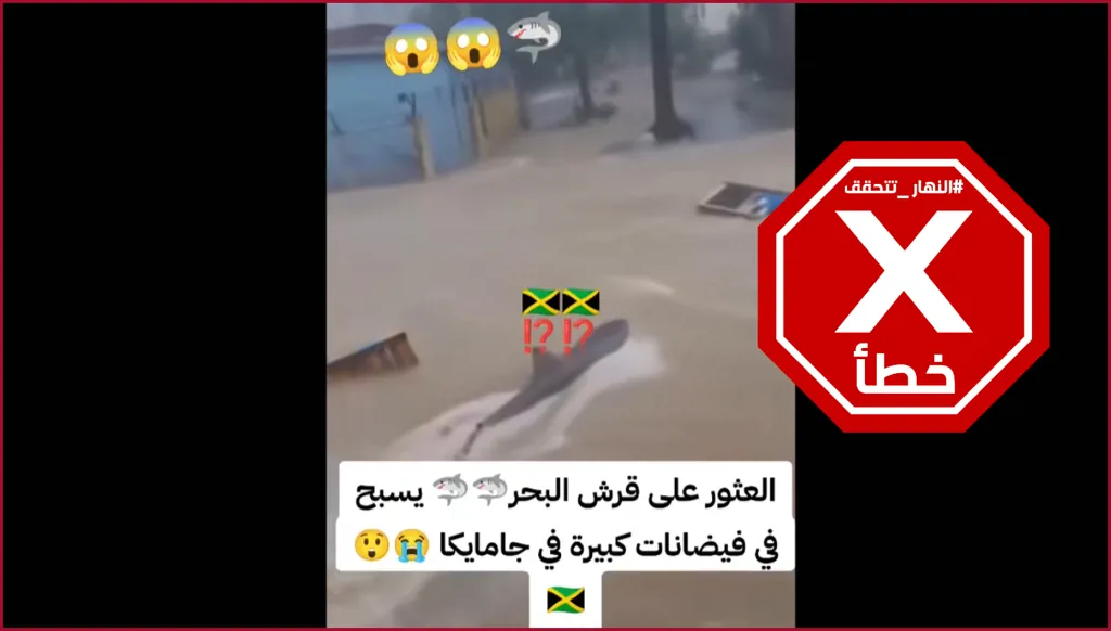 أسماك القرش تسبح في شوارع جامايكا خلال الإعصار ميليسا؟ النهار تتحقق FactCheck