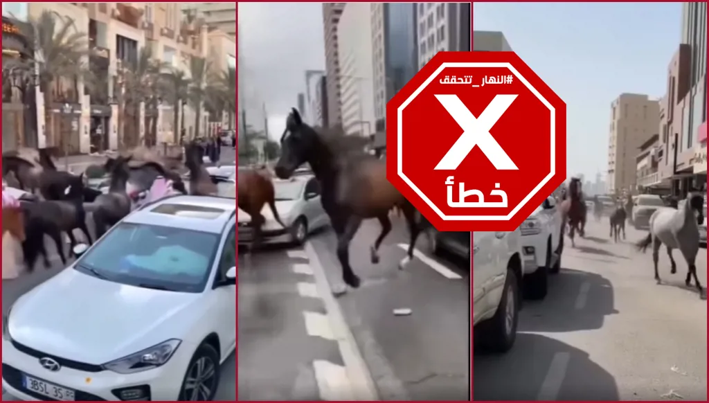 خيول هائجة انطلقت في شوارع دبي بشكل جنوني؟ النهار تتحقق FactCheck