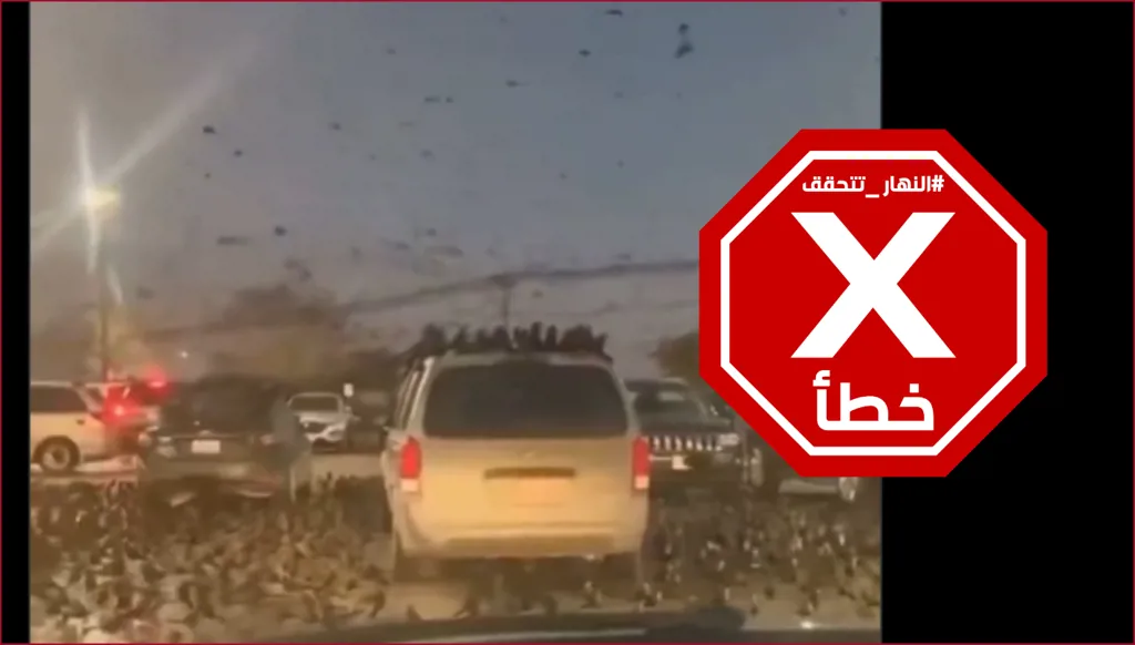 نذير شؤم لإسرائيل خلال الحرب... آلاف الغربان تحوم فوق تل أبيب؟ النهار تتحقق FactCheck