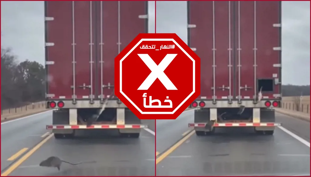 شاحنة تطلق الفئران عمداً في الشوارع بعد حقنها بفيروس هانتا؟ النهار تتحقق FactCheck
