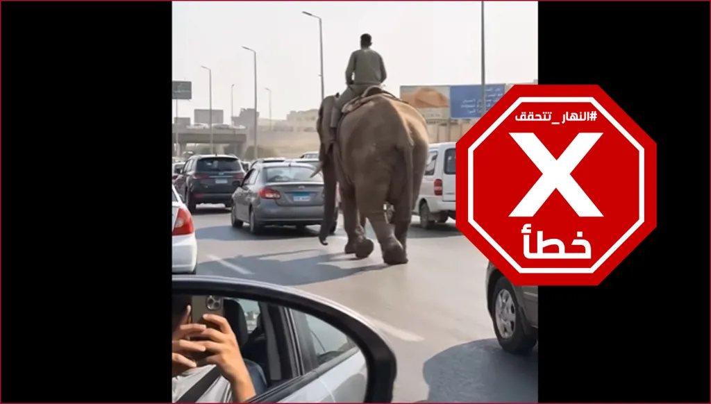 فيل في شوارع مصر... ما حقيقة الفيديو المتداول؟ النهار FactCheck