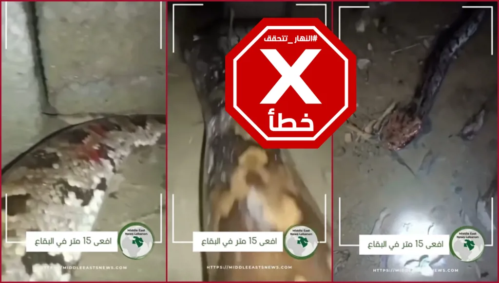 "المشهد مرعب"... ما حقيقة الأفعى العملاقة في البقاع؟ النهار تتحقق FactCheck