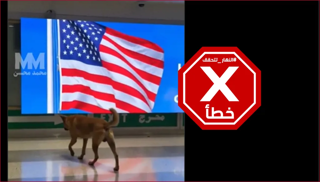 كلب في مطار بيروت يشعل الضحك؟ النهار تتحقق FactCheck