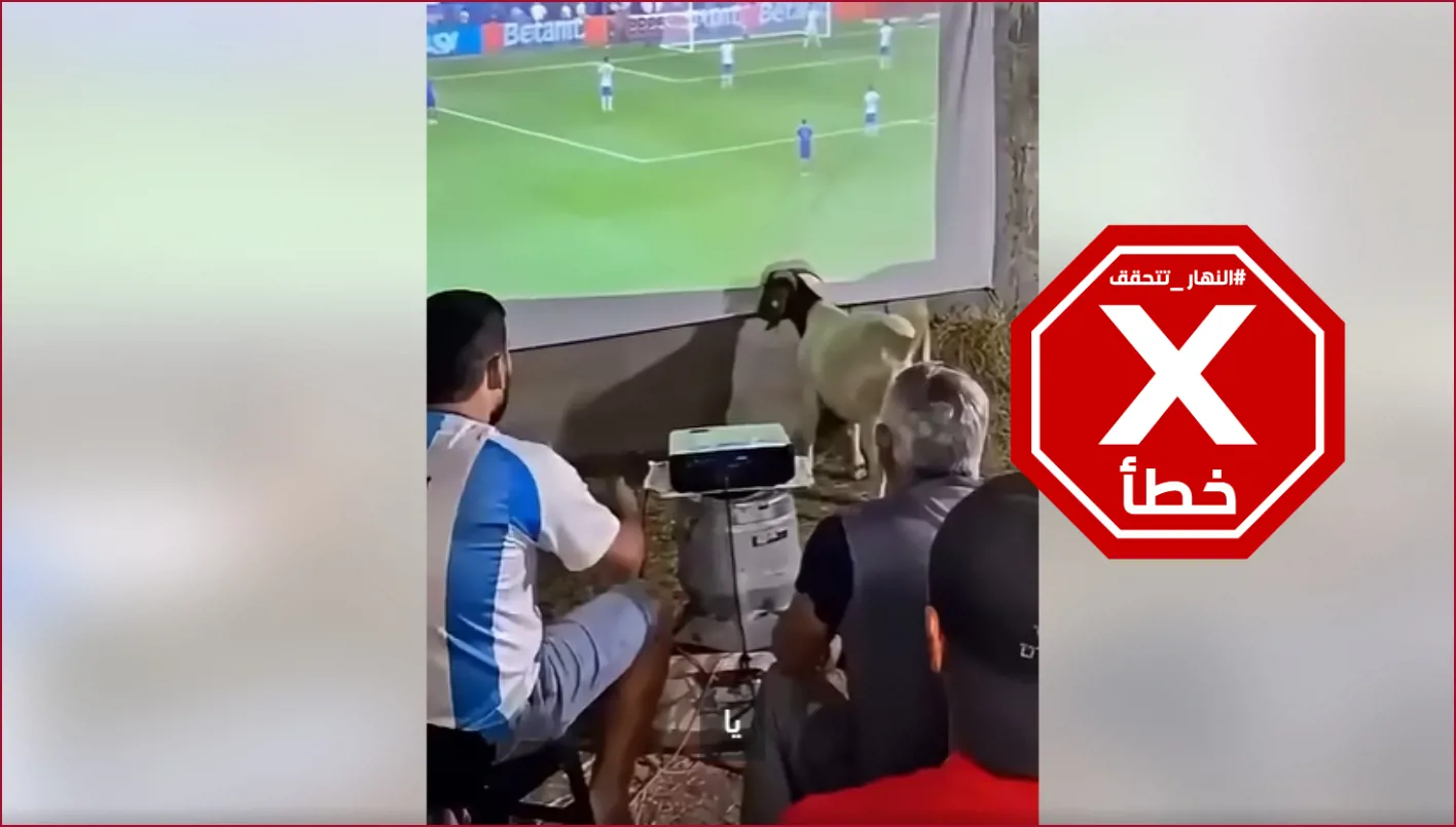 Funny Video from the World Cup Final... And the Reason is a Goat? Annahar FactCheck