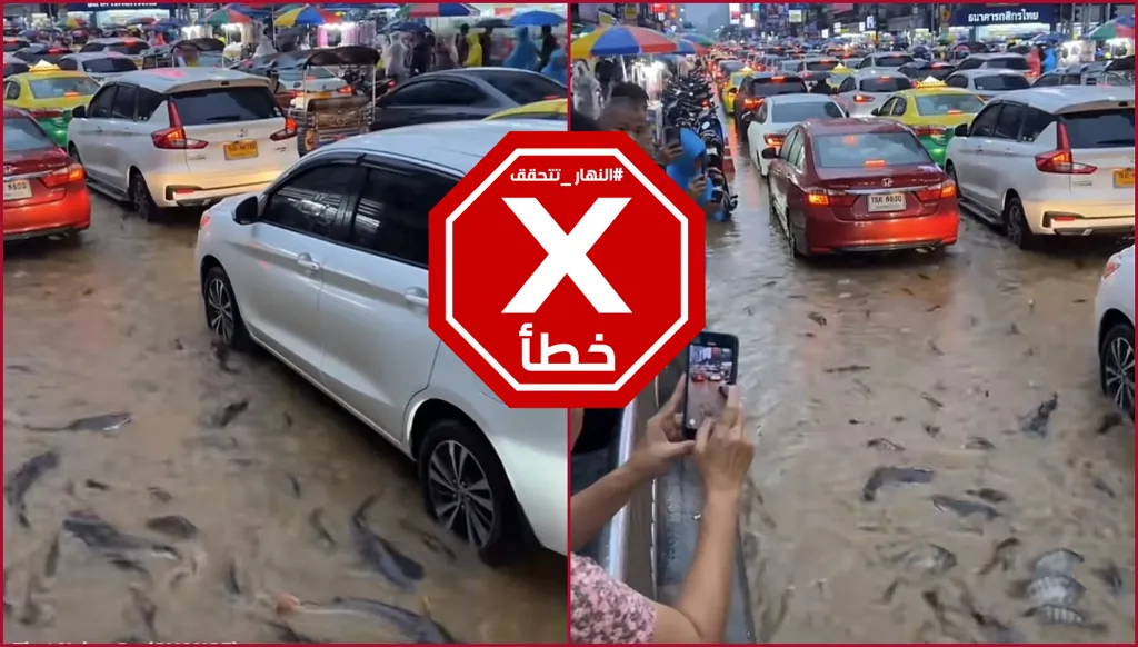 أسماك تسبح بين السيارات في بانكوك بعد الفيضانات الأخيرة؟ النهار تتحقق FactCheck