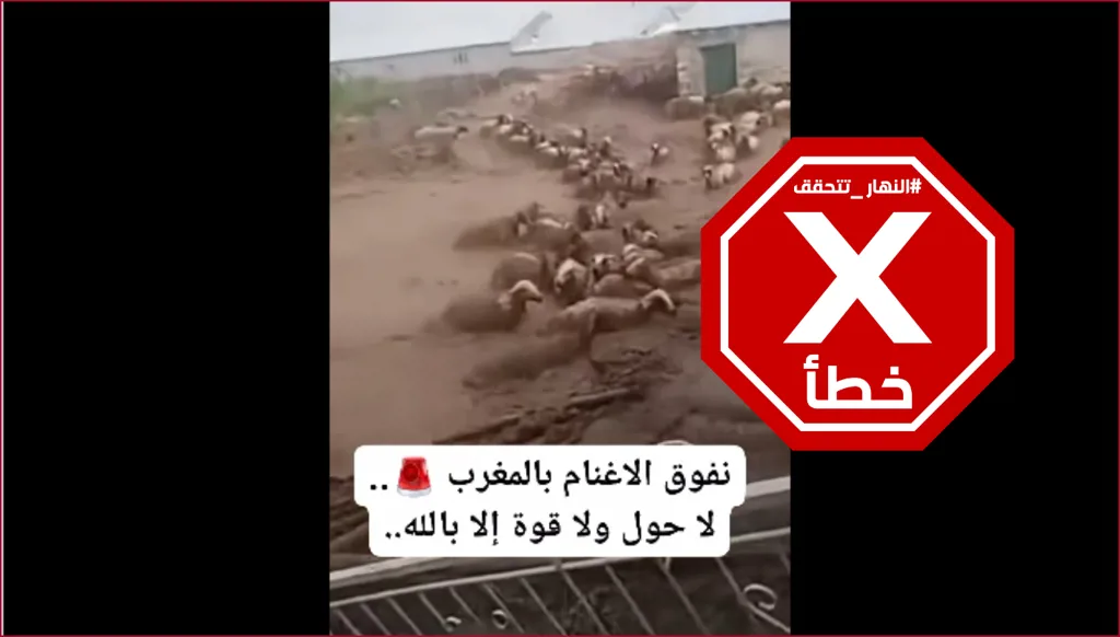 سيول تجرف أغناماً في المغرب؟ النهار تتحقق FactCheck