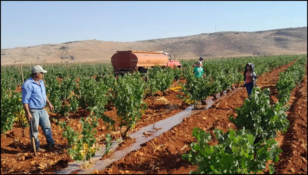 لبنان بلد الأنهار على حافة العطش؟