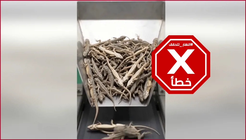 تصنيع النودلز من دقيق أبو بريص؟ النهار تتحقق FactCheck