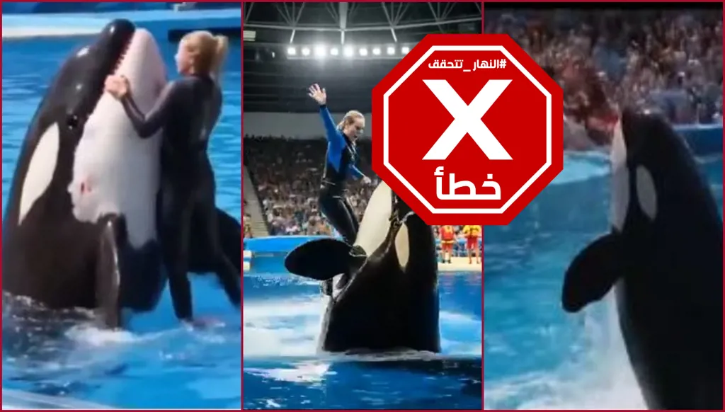 قضية المدربة جيسيكا رادكليف التي قتلها الحوت وكيف خدعت الملايين... النهار تتحقق FactCheck