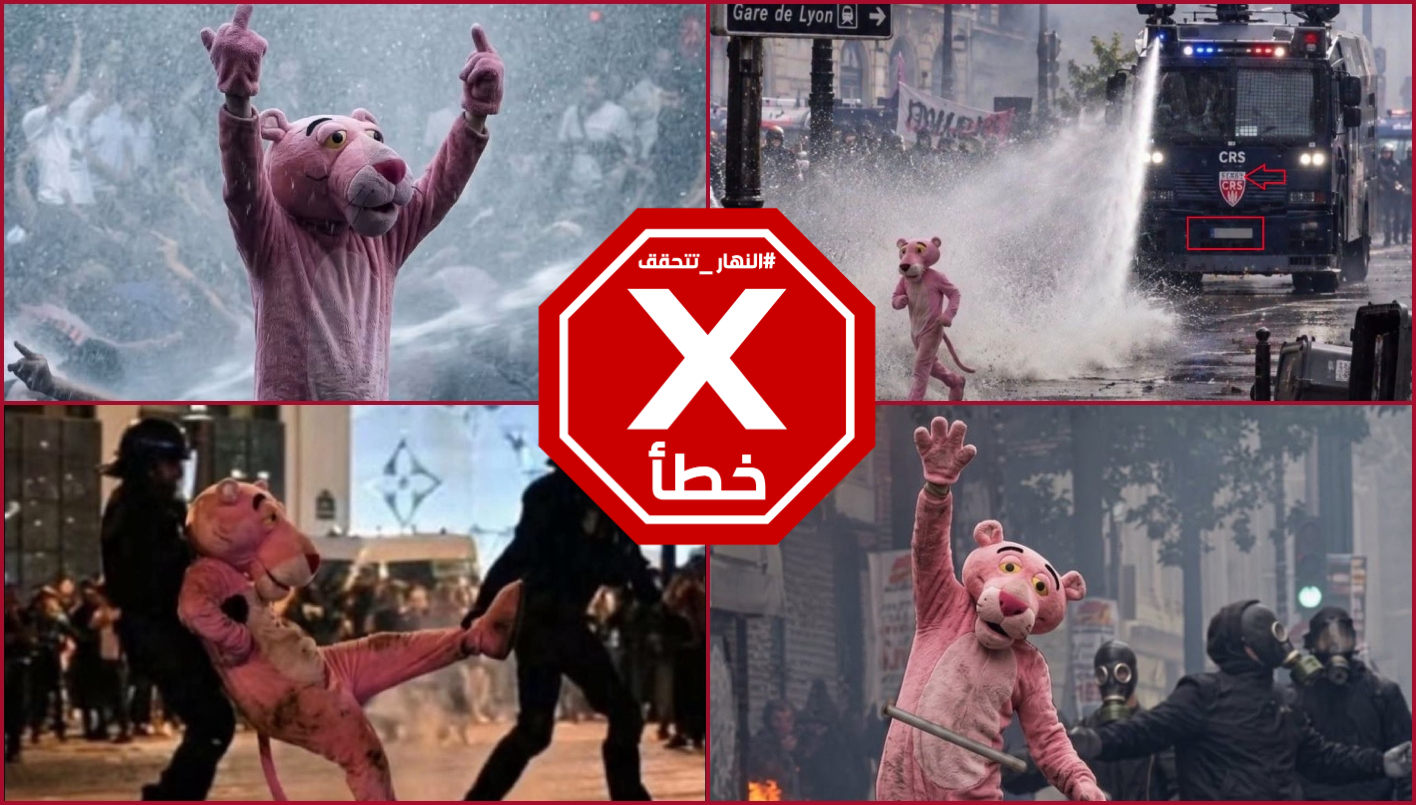 صور النمر الوردي المتناقلة بالمزاعم الخاطئة