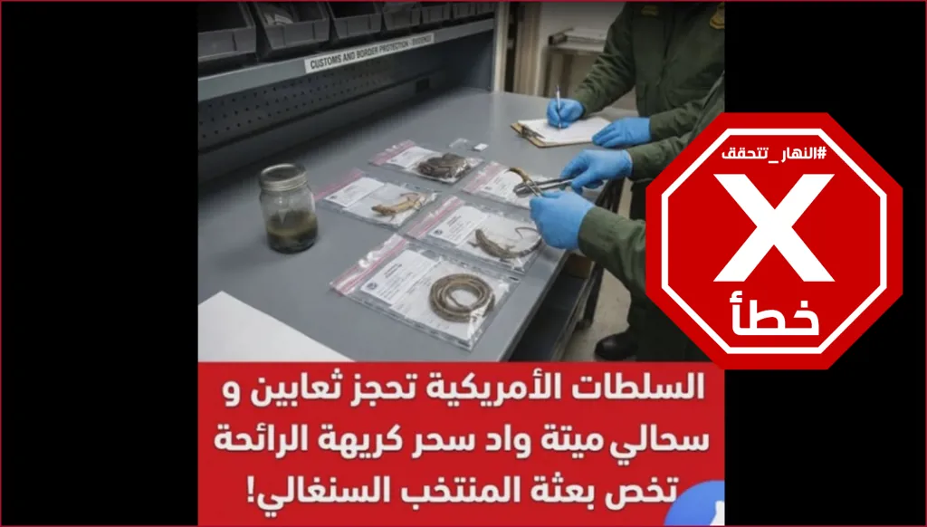 العثور على ثعابين وسحالي مع بعثة المنتخب السنغالي؟ إليكم الحقيقة FactCheck