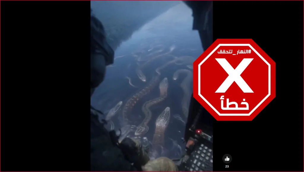 هذا الفيديو لثعابين ضخمة تكاثرت في نهر الأمازون مولد بالذكاء الاصطناعي FactCheck#