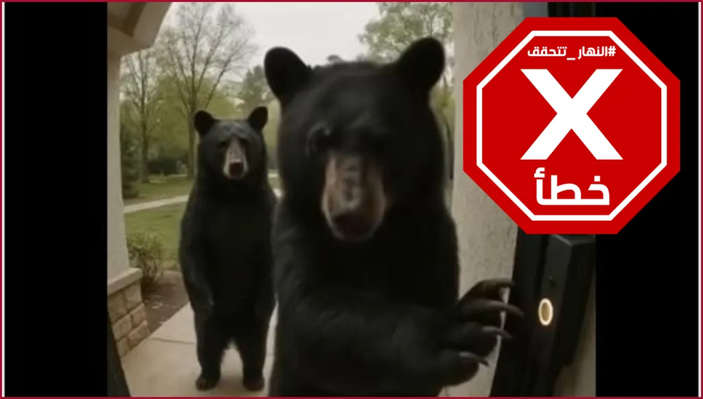 هذا الفيديو لدب يقرع جرس بيت مولد بالذكاء الاصطناعي FactCheck#