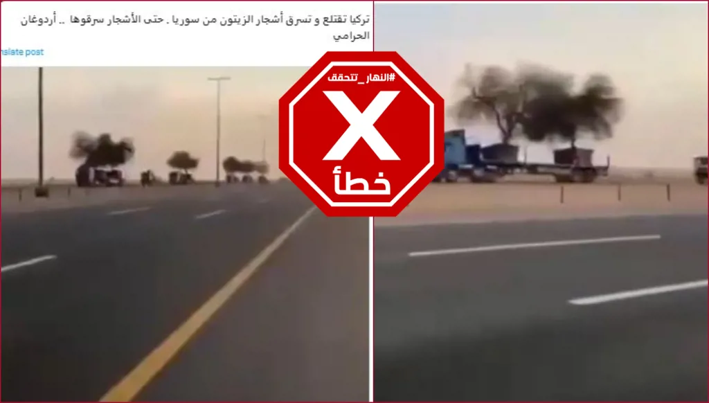 هذا الفيديو لا يظهر سرقة تركيا لأشجار الزيتون من سوريا FactCheck#