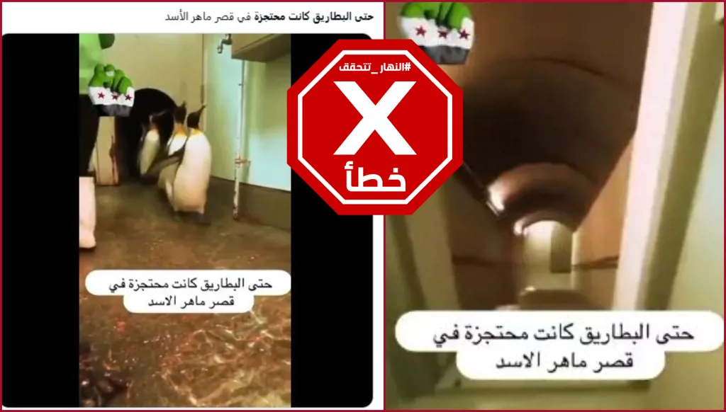 هذا الفيديو الذي يدعي وجود بطاريق في قصر ماهر الأسد مركب FactCheck#