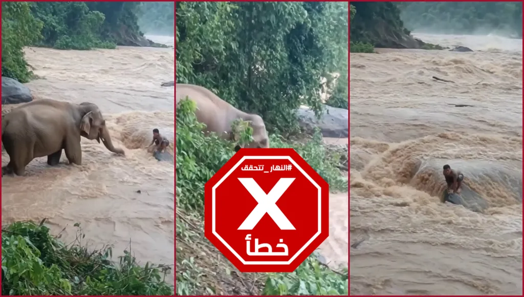 فيل "بطل" يتحدى فيضانات النيبال... ماذا عرفنا عن هذا الفيديو؟ النهار تتحقق FactCheck