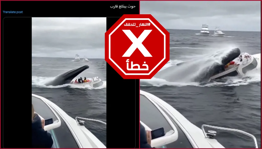 فيديو الحوت الذي يبتلع قارباً في البحر غير حقيقي FactCheck#