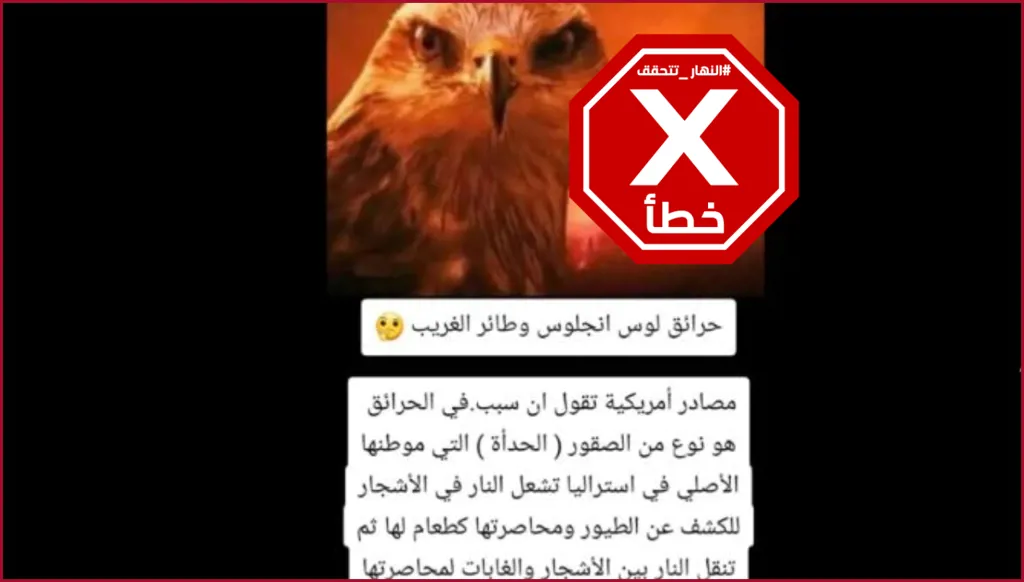 طائر الحدأة بريء من حرائق لوس أنجليس والتحقيقات مستمرة FactCheck#