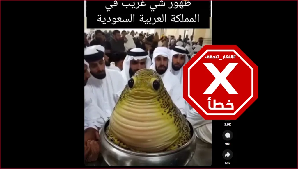 هذا الفيديو ليس لكائن غريب ظهر في السعودية FactCheck#