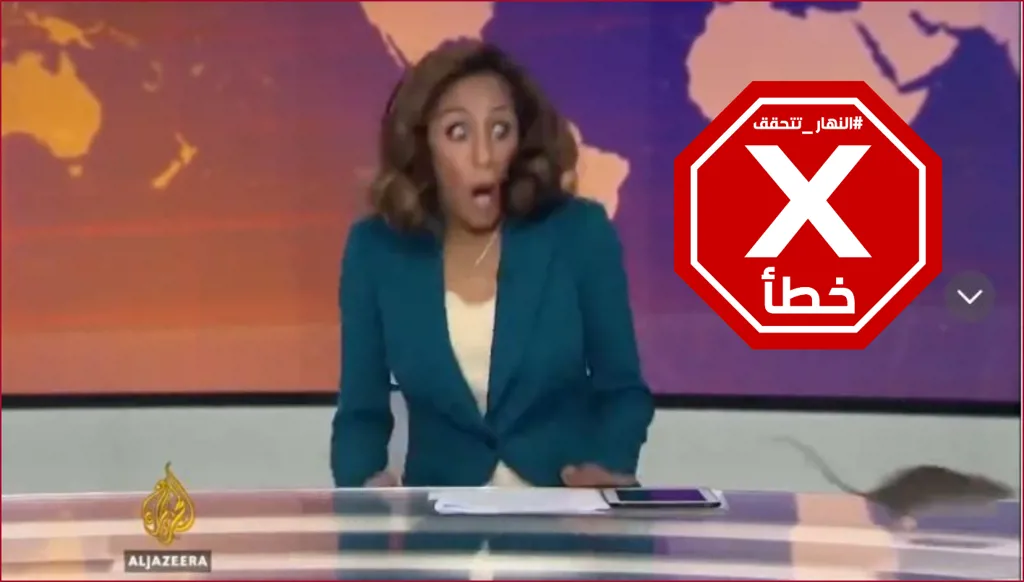 المذيعة صرخت... فأر في استوديو الجزيرة خلال بث مباشر؟ النهار تتحقق FactCheck