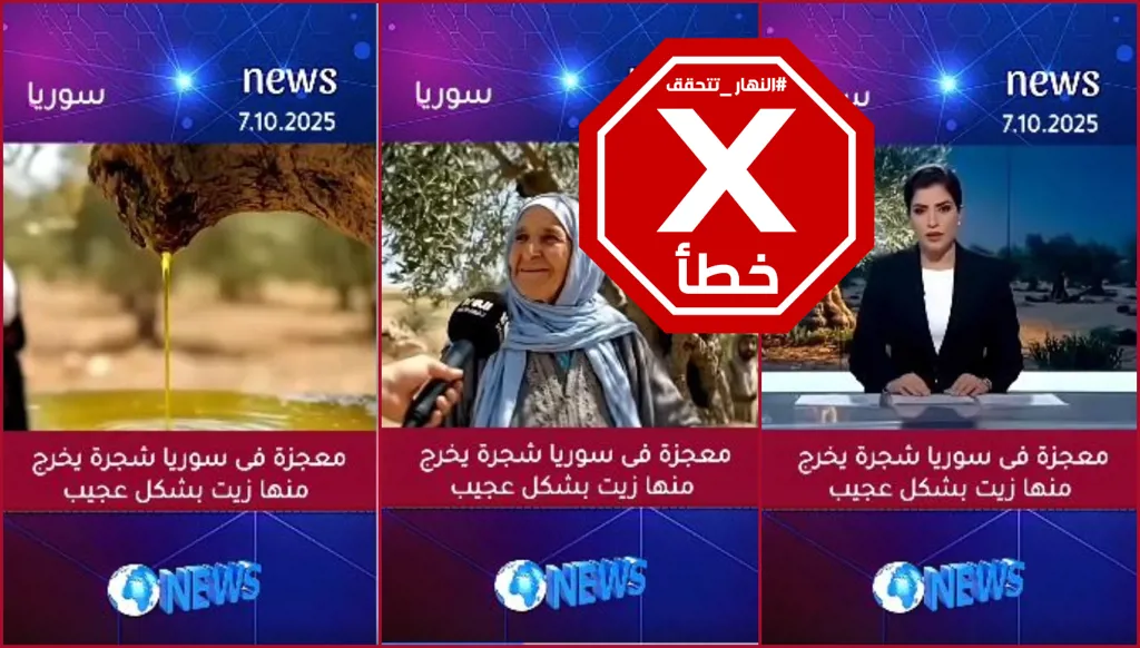 معجزة في سوريا... شجرة زيتون يخرج منها الزيت في شكل عجيب؟ النهار تتحقق FactCheck