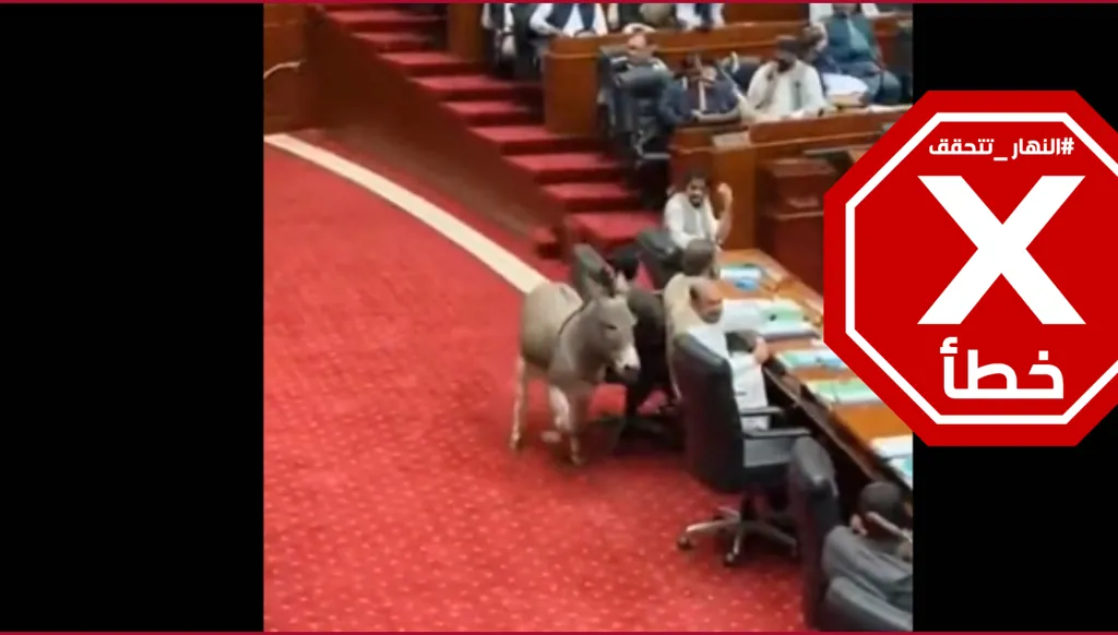 حمار يقتحم مجلس الشيوخ الباكستاني ويتسبب بحالة من الفوضى؟ النهار تتحقق FactCheck