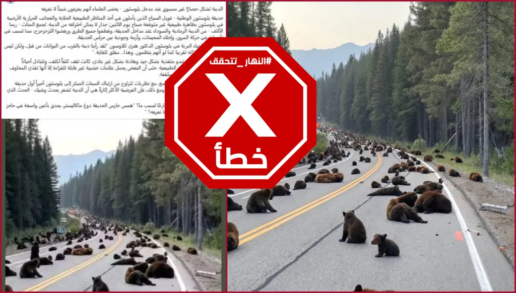 خبر الدببة التي حاصرت مداخل منتزه في أميركا زائف والصورة غير حقيقية FactCheck#