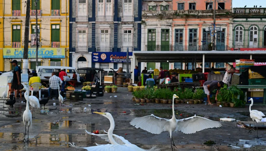 خمسة أمور يجب معرفتها عن مدينة بيليم البرازيلية