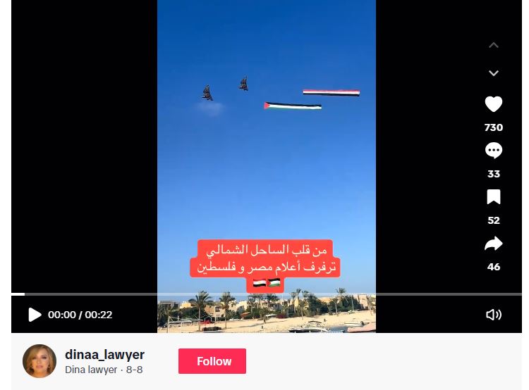 لقطة من الفيديو المنشور في حساب في تيك توك في 8 آب 2025