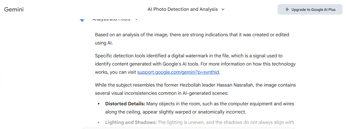 نتيجة تحليل الصورة بواسطة Gemini
