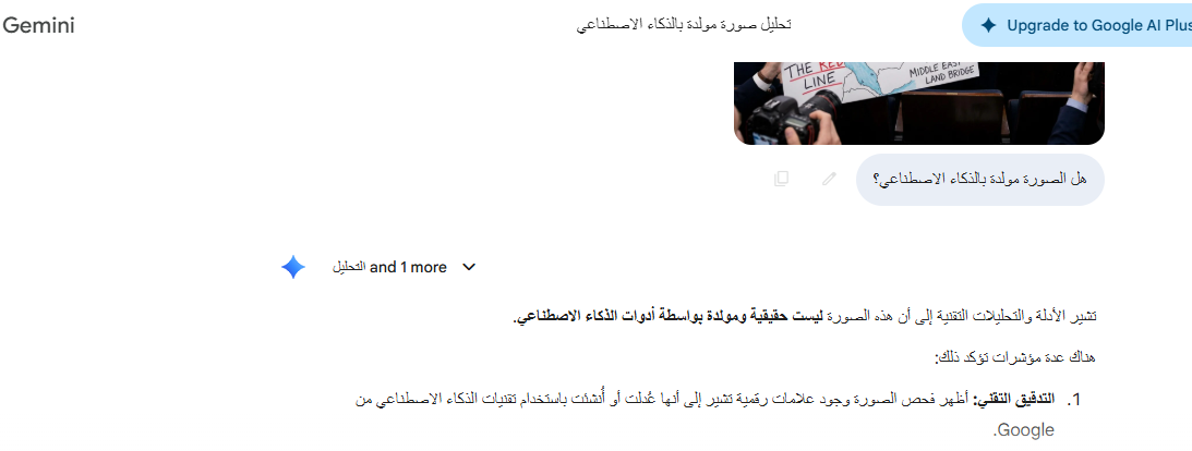 تحليل Gemini للصورة