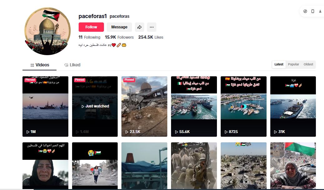 لقطة للحساب في تيك توك 