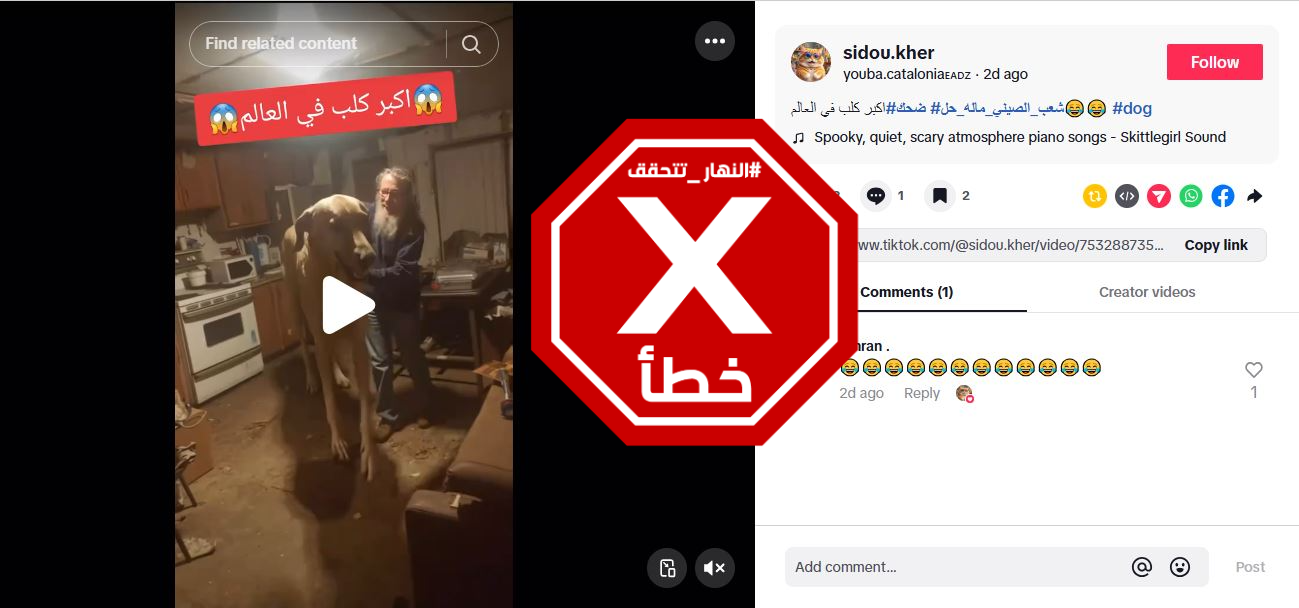 لقطة من الفيديو المتناقل بالمزاعم الخاطئة (تيك توك)