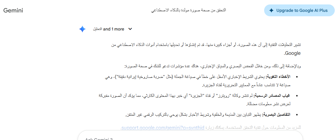 نتيجة تحليل الصورة بواسطة Gemini