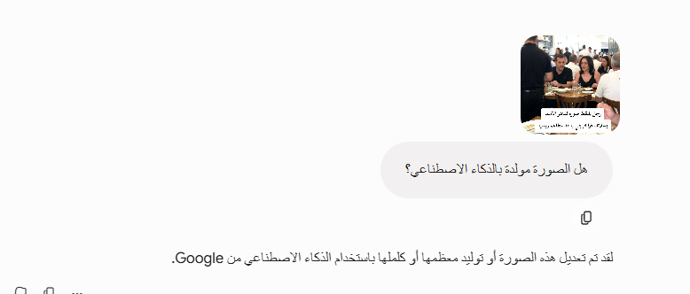 تحليل Gemini للصورة 