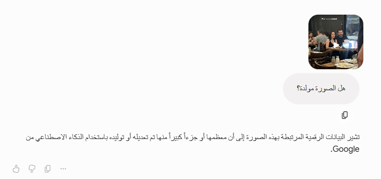 تحليل Gemini للصورة 