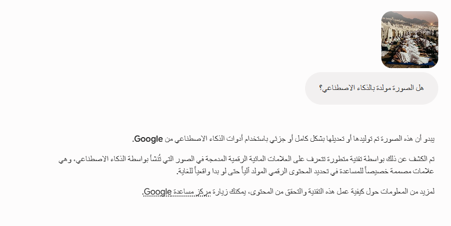 تحليل Gemini للصورة 
