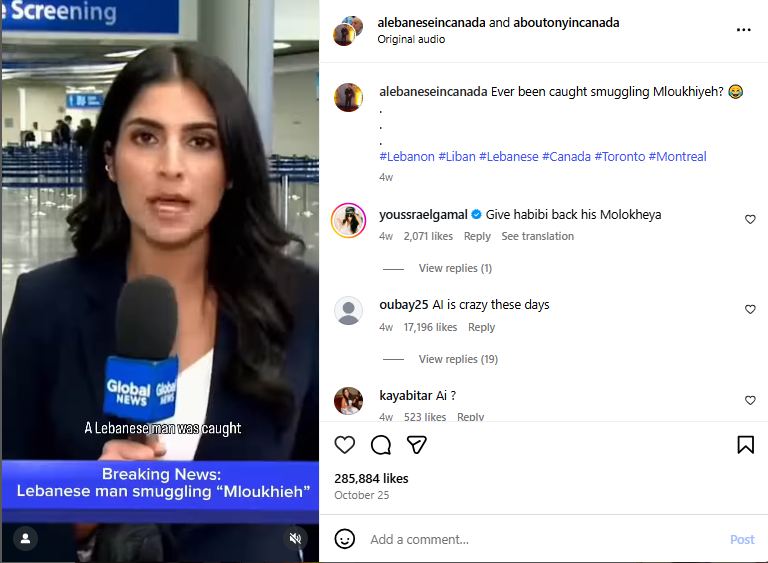 لقطة من الفيديو المنشور في حساب alebaneseincanada's profile picture alebaneseincanada@ في انستغرام في 25 تشرين الاول 2025