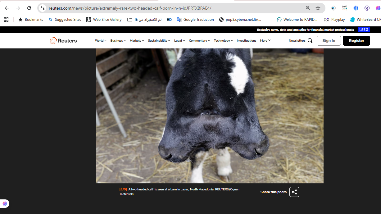 الصورة منشورة في موقع وكالة رويترز ضمن تقرير في 22 نيسان 2021