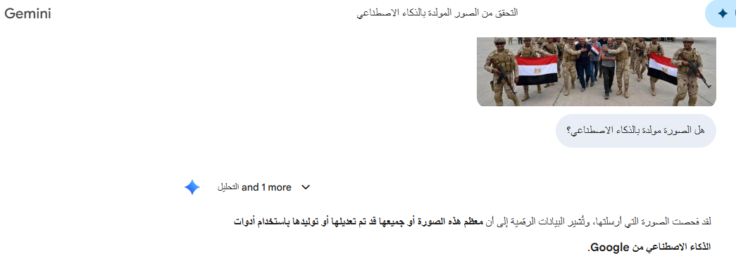تحليل Gemini للصورة