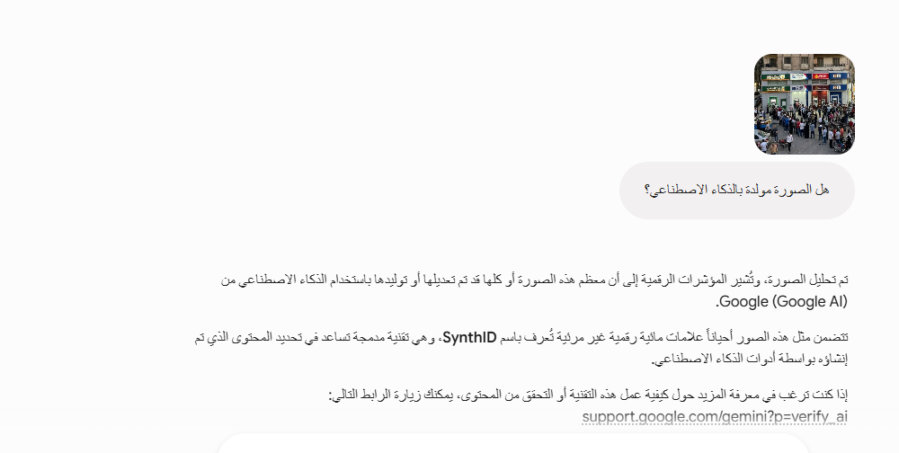 تحليل Gemini للصورة