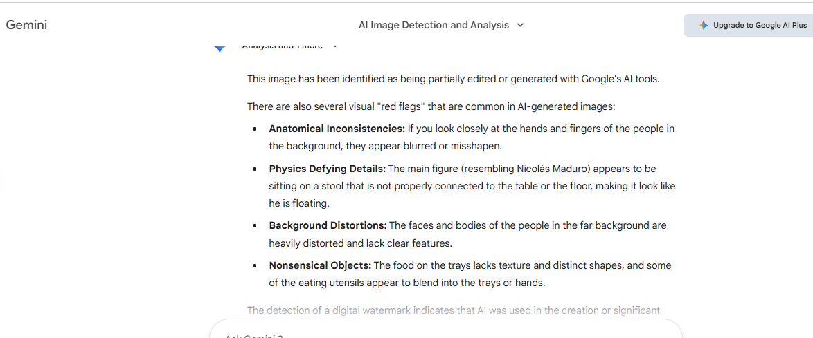 نتيجة تحليل الصورة بواسطة Gemini