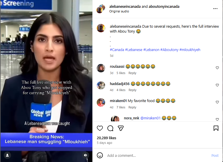 لقطة من الفيديو المنشور في حساب alebaneseincanada في انستغرام في 22 تشرين الثاني 2025