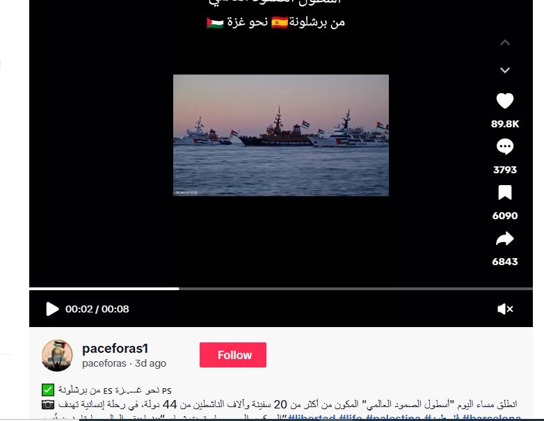 لقطة من الفيديو المنشور في حساب paceforas1 في تيك توك في 31 آب 2025