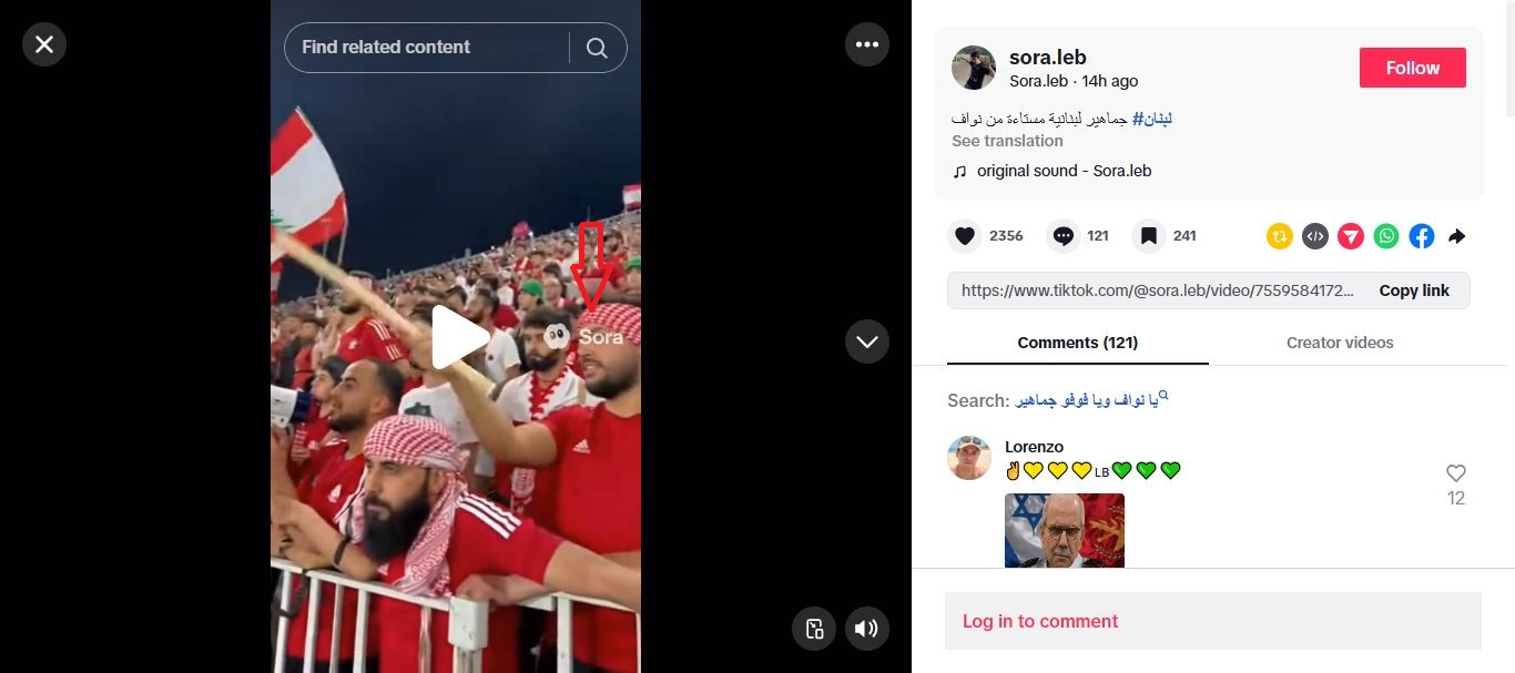 لقطة من الفيديو المنشور في حساب Sora.leb في تيك توك، في 10 تشرين الاول 2025