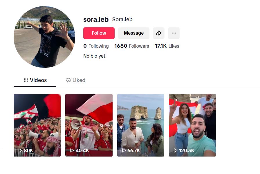لقطة لحساب Sora.leb في تيك توك 