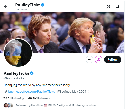 لقطة لحساب Paulley Ticks في اكس